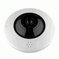 IP-видеокамера цветная Fisheye DVI-F121 2 Mpix (1520 × 1520)